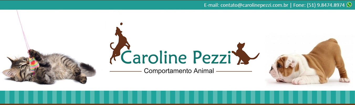 Caroline Pezzi Comportamento Animal – Veterinária Comportamental e Adestramento Positivo